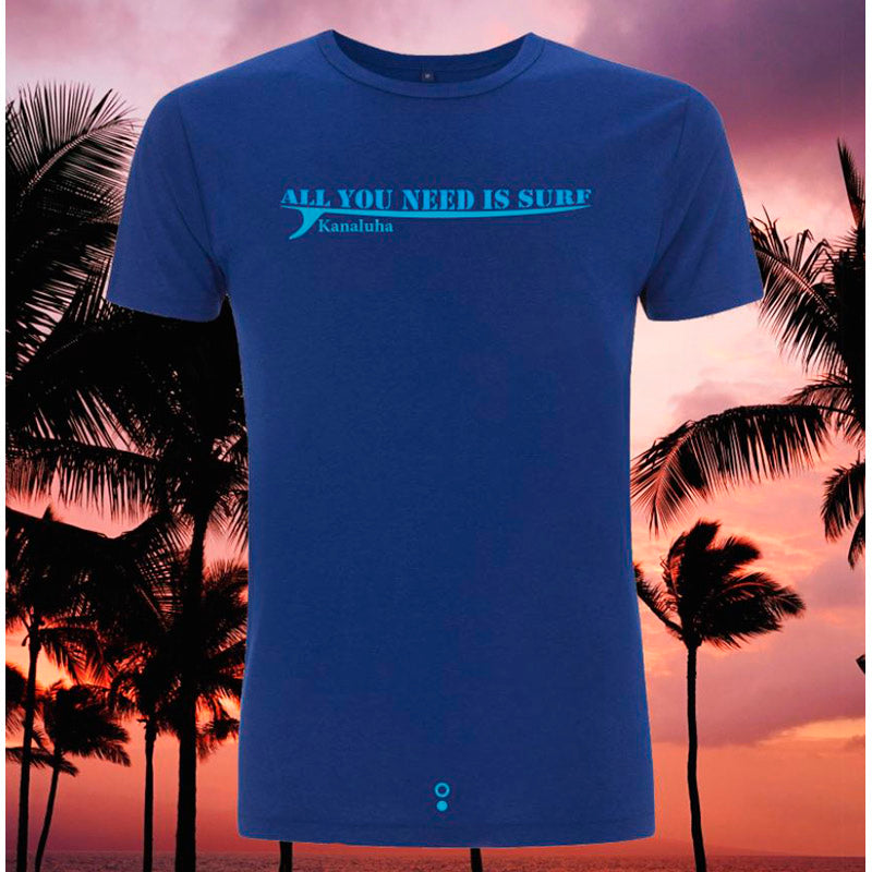 Camiseta All you need is Surf