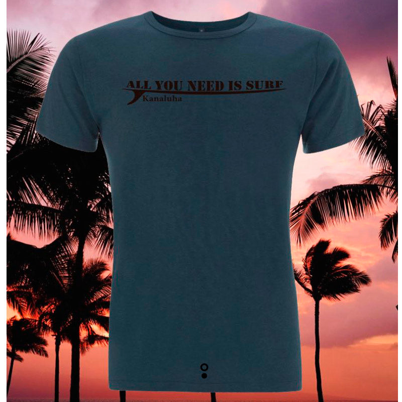 Camiseta All you need is Surf