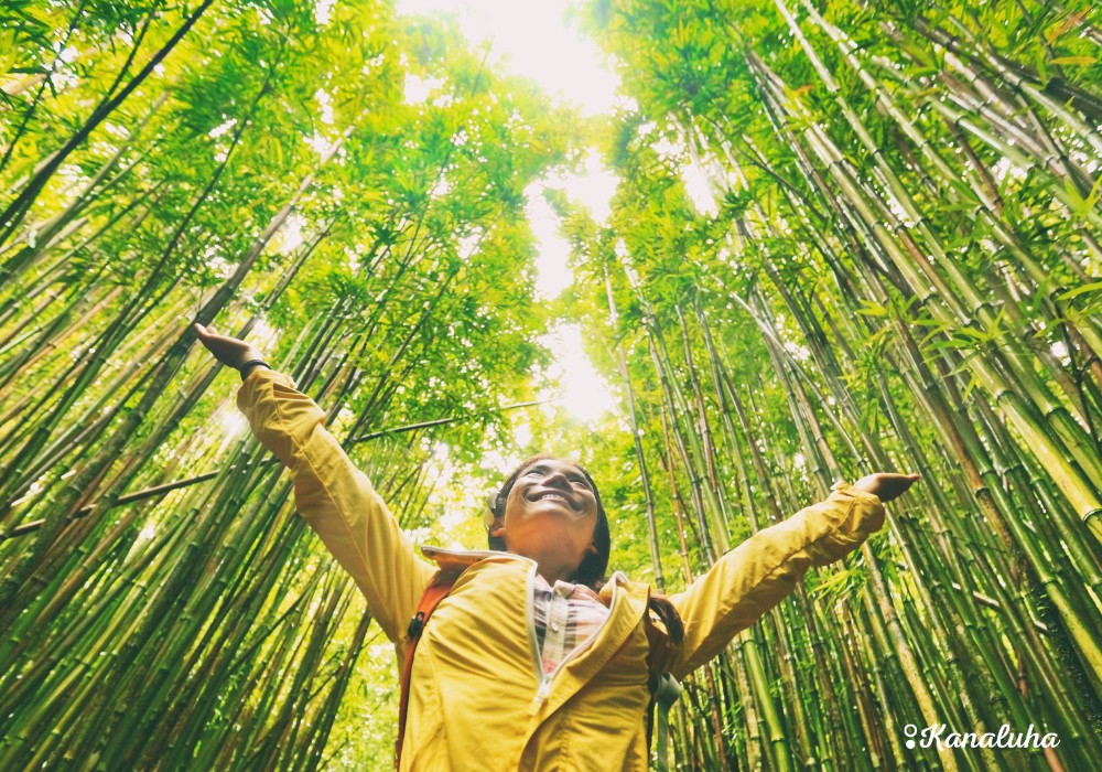 sostenibilidad bambú.jpg__PID:29704907-83a3-496b-868f-816878e47189